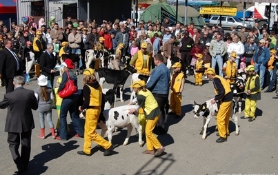 Zdjęcie do AgroTargi 2009