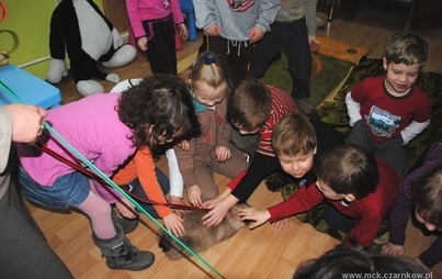 Zdjęcie do Kocie święto 2011
