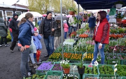 Zdjęcie do AgroTargi 2016