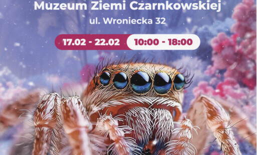 Treść plakatu opatrzona fotografią pająka