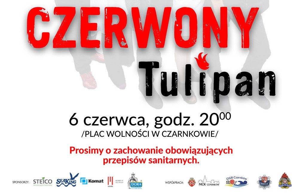 Zdjęcie do Czerwony Tulipan 2021