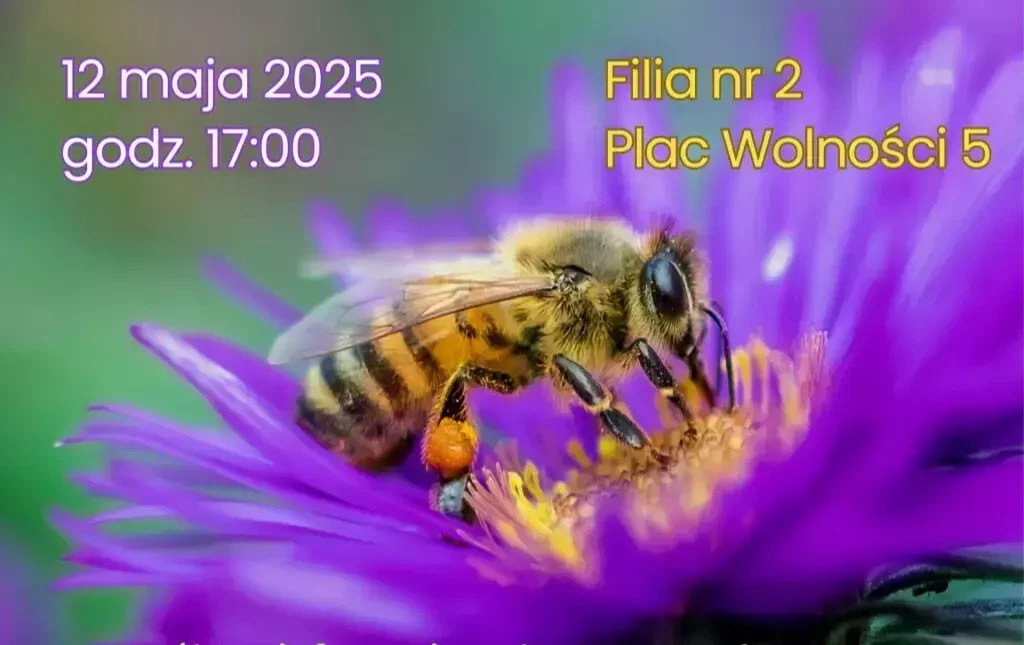 Zdjęcie do Pszczoły murarki &ndash; dzikie zapylacze 2025 - zapowiedź
