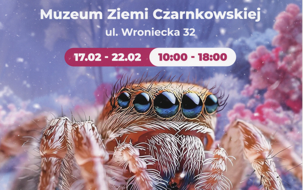 Zdjęcie do Wystawa pająk&oacute;w 2026 - zapowiedź